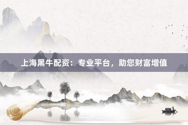 上海黑牛配资：专业平台，助您财富增值
