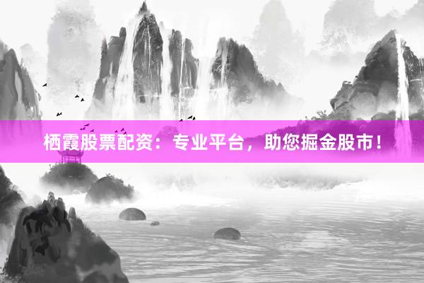 栖霞股票配资：专业平台，助您掘金股市！