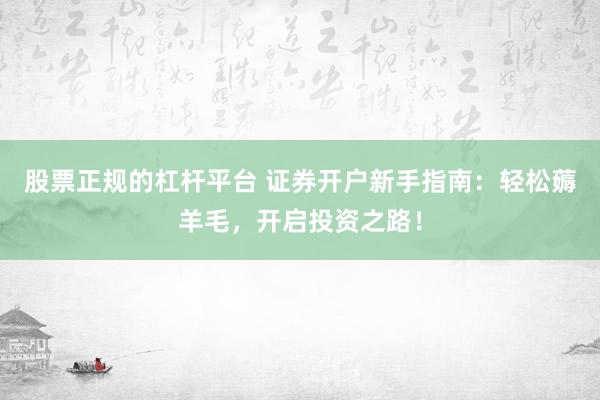 股票正规的杠杆平台 证券开户新手指南：轻松薅羊毛，开启投资之路！